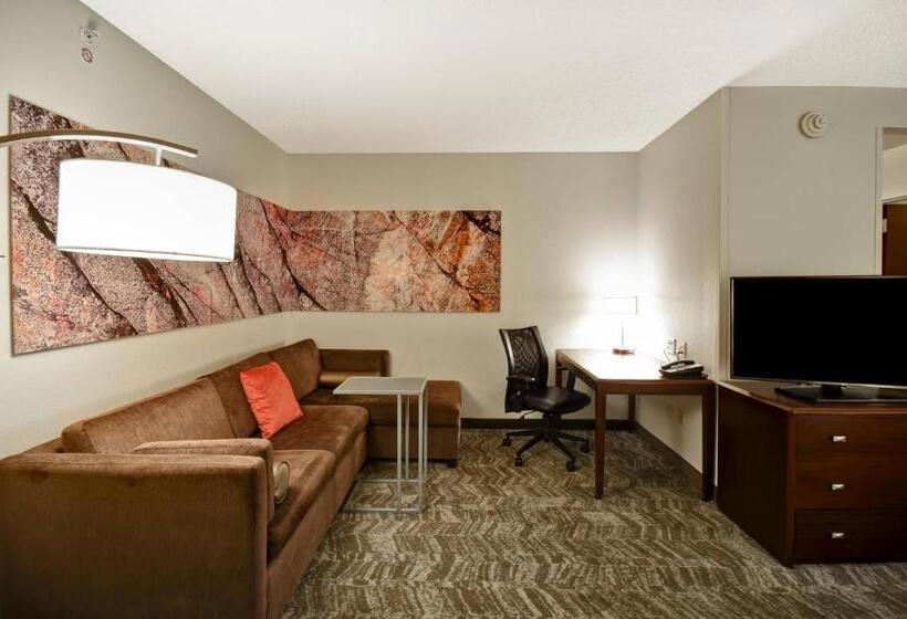 استودیو استاندارد با تخت کینگ, Springhill Suites Louisville Airport