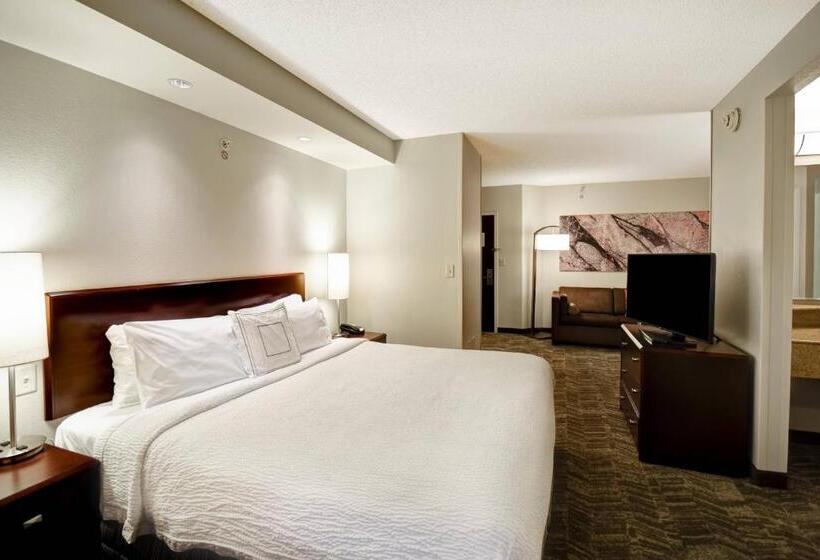 استودیو استاندارد با تخت کینگ, Springhill Suites Louisville Airport