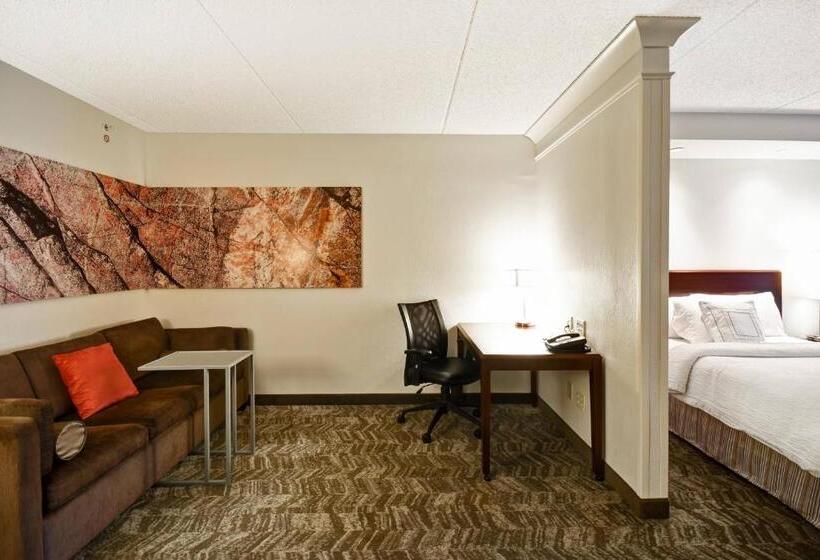 استودیوی استاندارد, Springhill Suites Louisville Airport