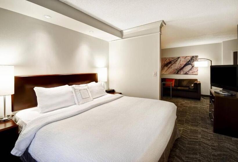 استودیو استاندارد با تخت کینگ, Springhill Suites Louisville Airport