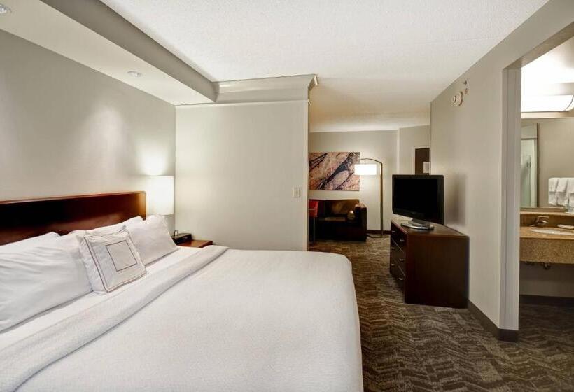 استودیو استاندارد با تخت کینگ, Springhill Suites Louisville Airport
