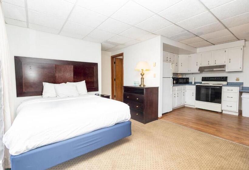 Студия Стандарт, Brentwood Motor Inn