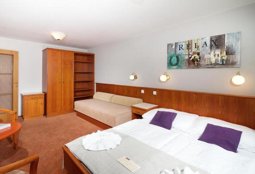 Economy Triple Room, Sněžka