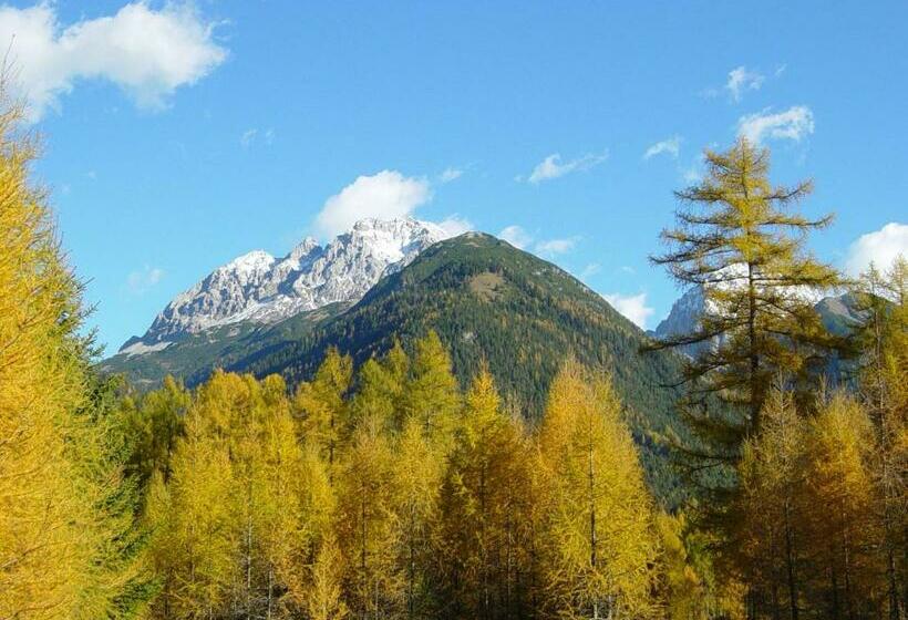 Номер Стандарт, Garni Hotel Wildanger