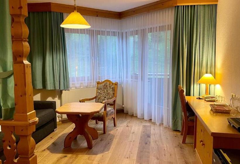 Полулюкс с Балконом, Intermontana Hotel Garni