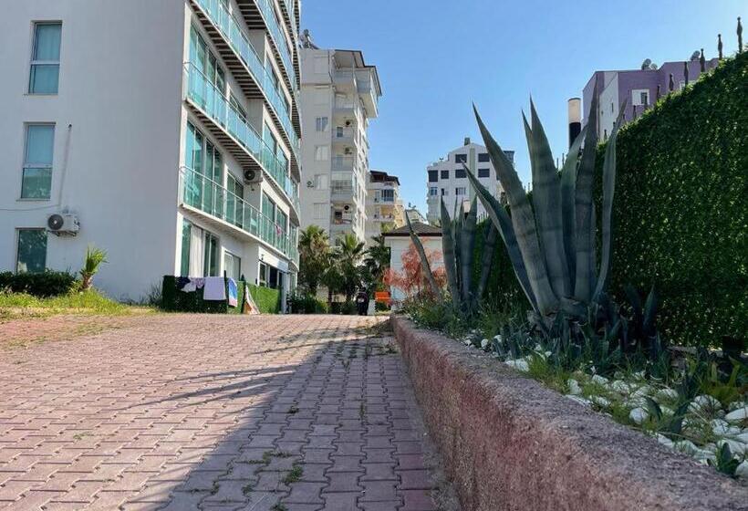 استودیوی استاندارد با چشم‌انداز دریا, Yelken Apart