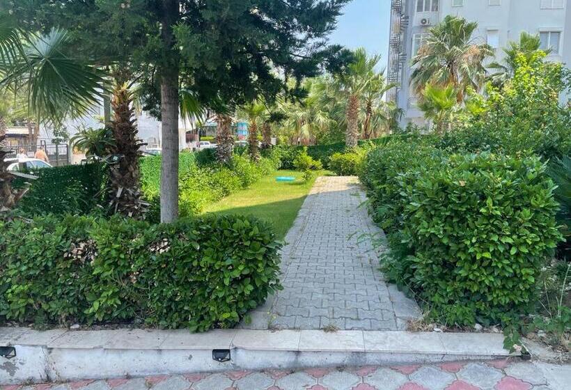 استودیوی استاندارد با چشم‌انداز دریا, Yelken Apart