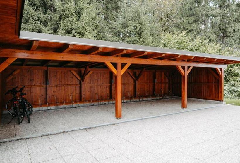 Апартаменты Superior 2 Спальни, Pension Waldruh   Tannenheim