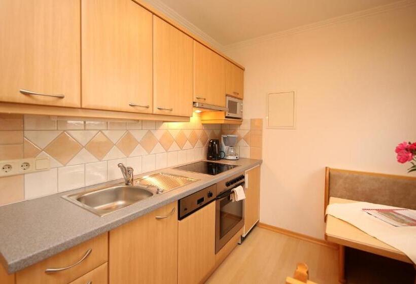 家族用アパートメント, Aparthotel Das Hochkönig