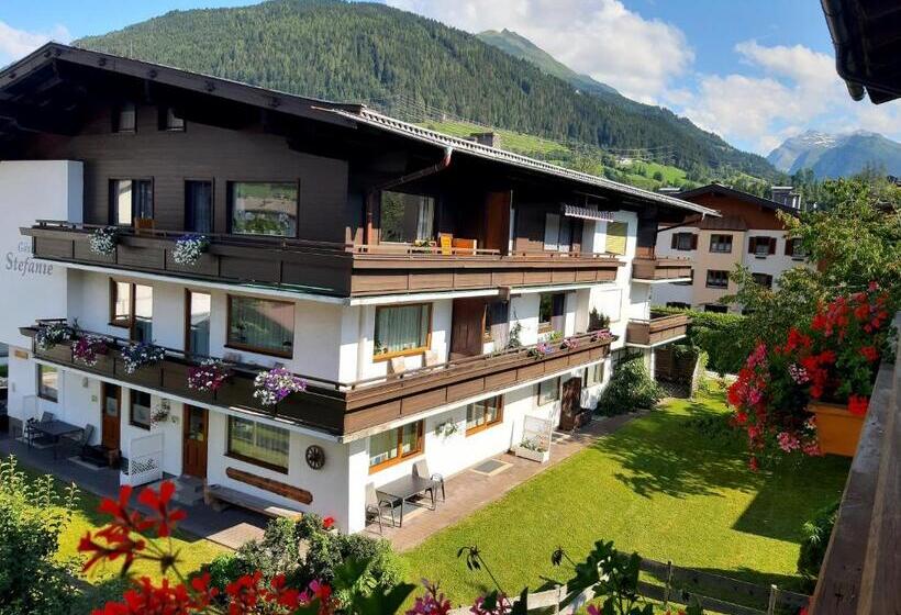 آپارتمان 1 خوابه, Alphotel Mittersill