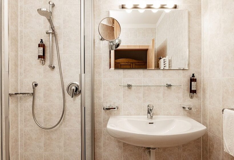 Номер Economy, Panoramahotel Huberhof