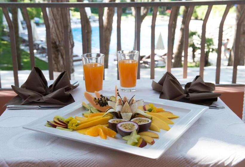 Номер Стандарт Вид на Море с Балконом, Park Hotel Maracaibo