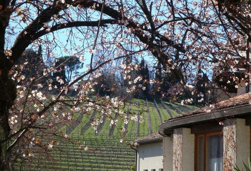 스탠다드 룸, Sporting Hotel Ragno D Oro