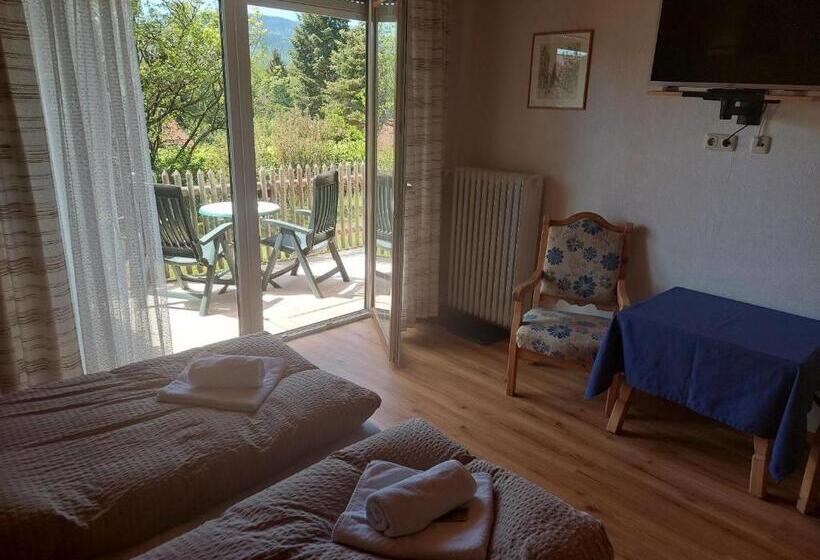 Номер Стандарт с Террасой, Pension Eichhorn