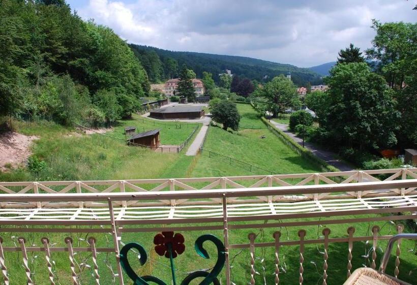 Номер Стандарт, Rhön Hotel Waldcafé St. Georg