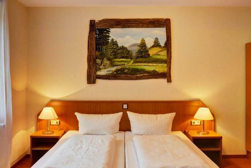 Номер Стандарт, Harzlodge