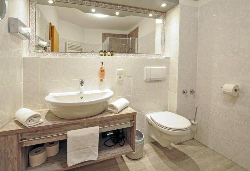 Номер Стандарт, Grasberger Hof Gmbh