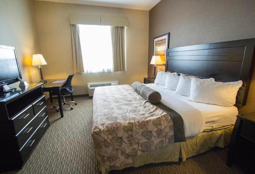 Люкс Кровать Кинг, Best Western Plus Estevan Inn & Suites