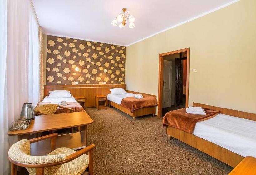 اتاق استاندارد سه نفره, Bristol