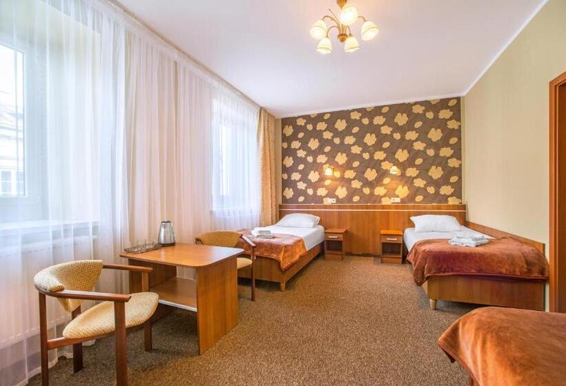 اتاق استاندارد سه نفره, Bristol