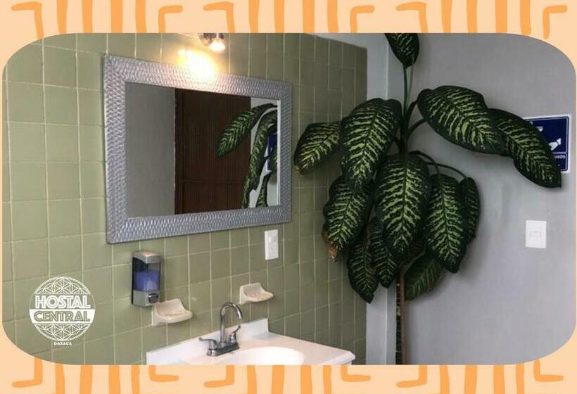 اتاق استاندارد, Hostal Central Oaxaca