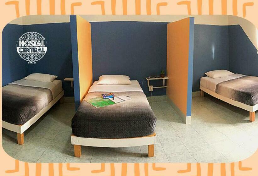 تختخواب در اتاق مشترک, Hostal Central Oaxaca