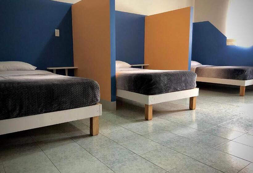 تختخواب در اتاق مشترک, Hostal Central Oaxaca