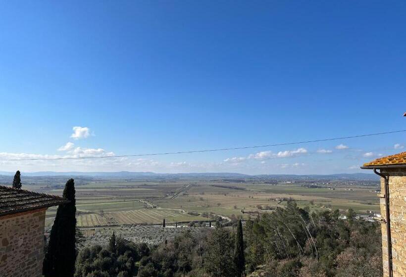اتاق استاندارد سه نفره, Villa Schiatti