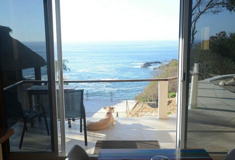 コンフォーとスイートルーム, Casablanca Guest House