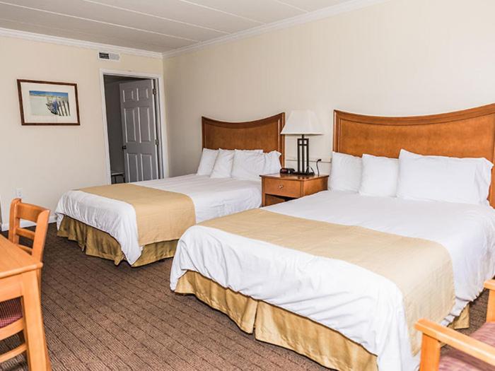 Family Suite, Desert Sand Resort