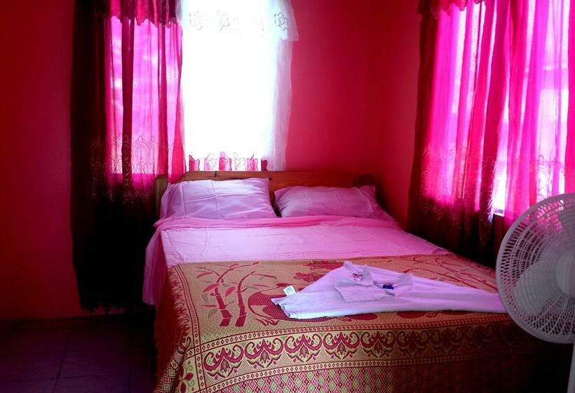 آپارتمان 1 خوابه, Belize Cultural Adventure Guesthouse
