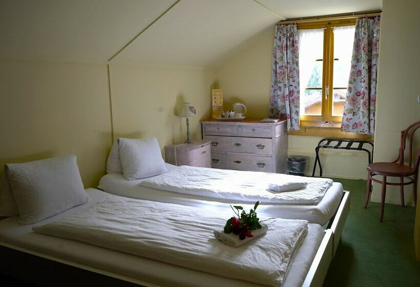 Номер Стандарт Совместная Ванная, Edelweiss Lodge