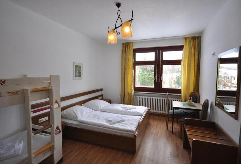 Номер Стандарт, & Hostel Drei Baren
