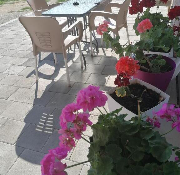 اتاق استاندارد, Apartmani Angelkoski   Simona