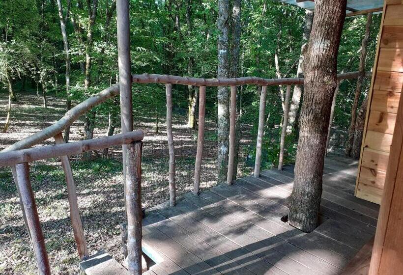 Номер Стандарт с Террасой, La Cabane De L Oiseau