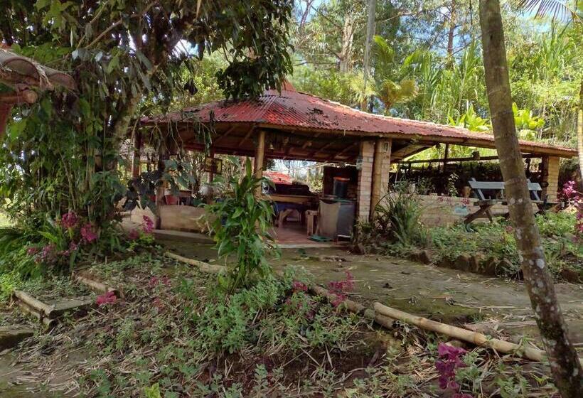 스탠다드 룸, Hostal Sueño Paraiso  Observatorio Astronómico