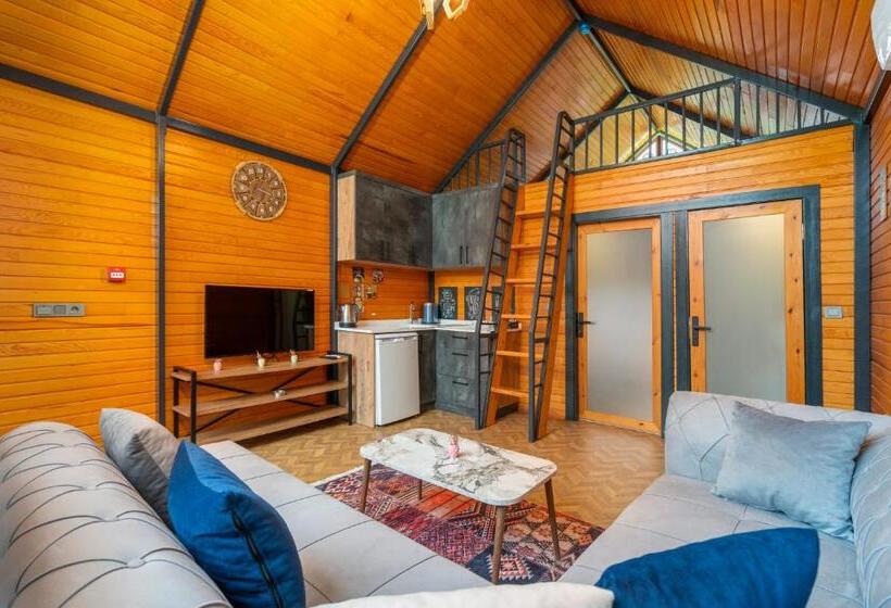 بانگلوی استاندارد, Collesium Garden