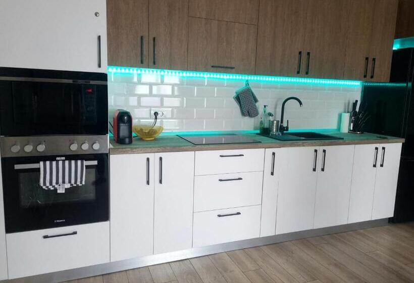 Apartamento 1 Dormitório, Apartamentul ștefan Băile Felix