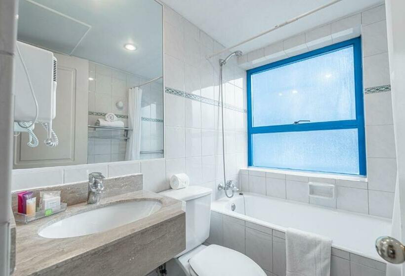 اتاق استاندارد یک نفره, Apart Hotel Elite Las Condes