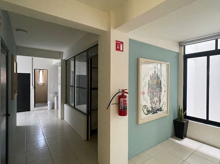تختخواب در اتاق مشترک, Hostal Xao