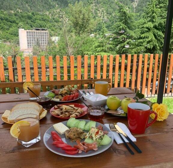 استودیو خانوادگی, Polifonia Inn Borjomi