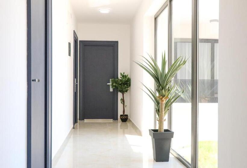 استودیوی لوکس, Xelent