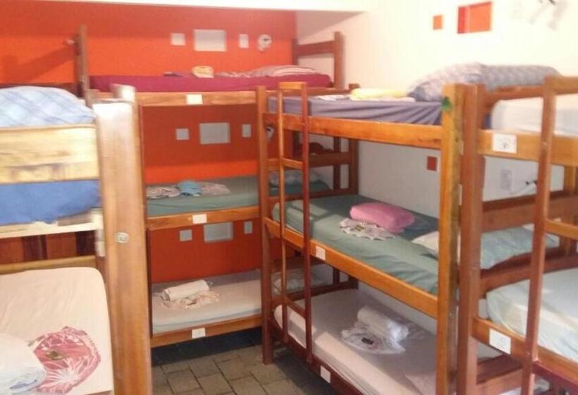 ルームシェアのワンベッド, Papagaio Hostel & Pousada
