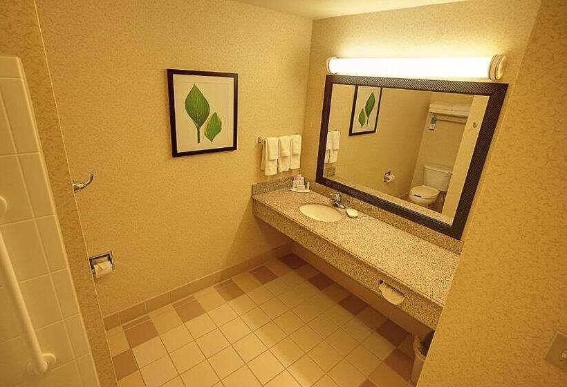 חדר סטנדרט, Fairfield Inn & Suites Mount Vernon Rend Lake