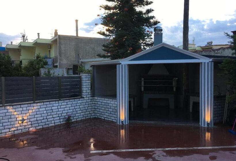 Номер Стандарт, Dionisos