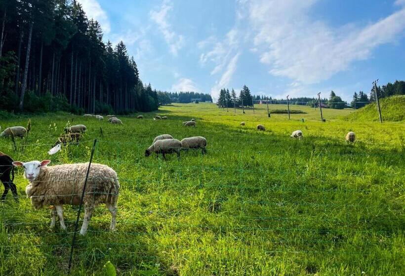 اتاق استاندارد چهار تخته, Horský Penzion Vebrovy Boudy