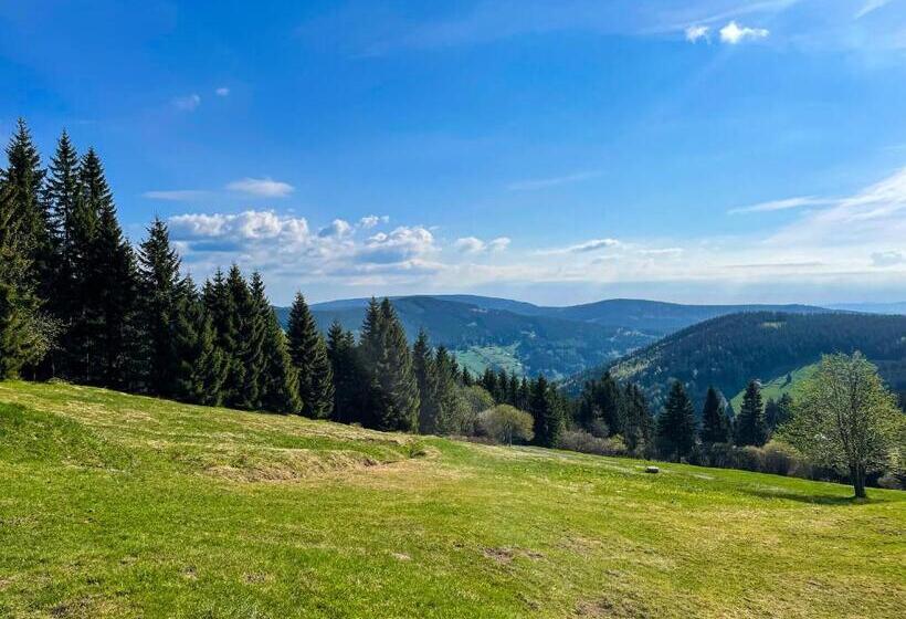 اتاق اکونومی, Horský Penzion Vebrovy Boudy