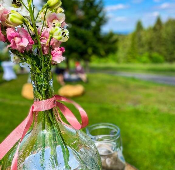 اتاق اکونومی, Horský Penzion Vebrovy Boudy