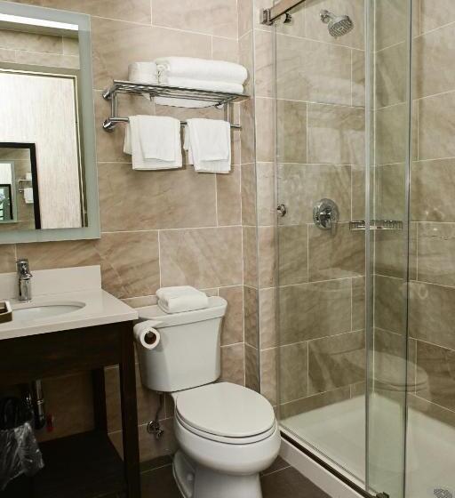스탠다드 룸 킹사이즈 침대, Days Inn By Wyndham Bronx Nyc