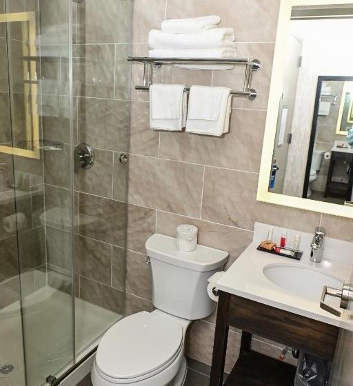 스탠다드 룸 킹사이즈 침대, Days Inn By Wyndham Bronx Nyc